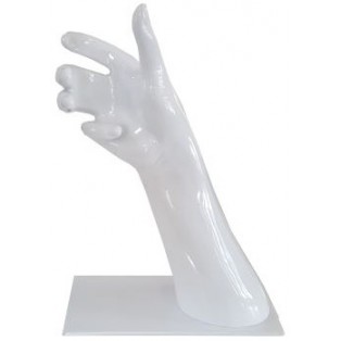 Presentatie Hand - Display Hand